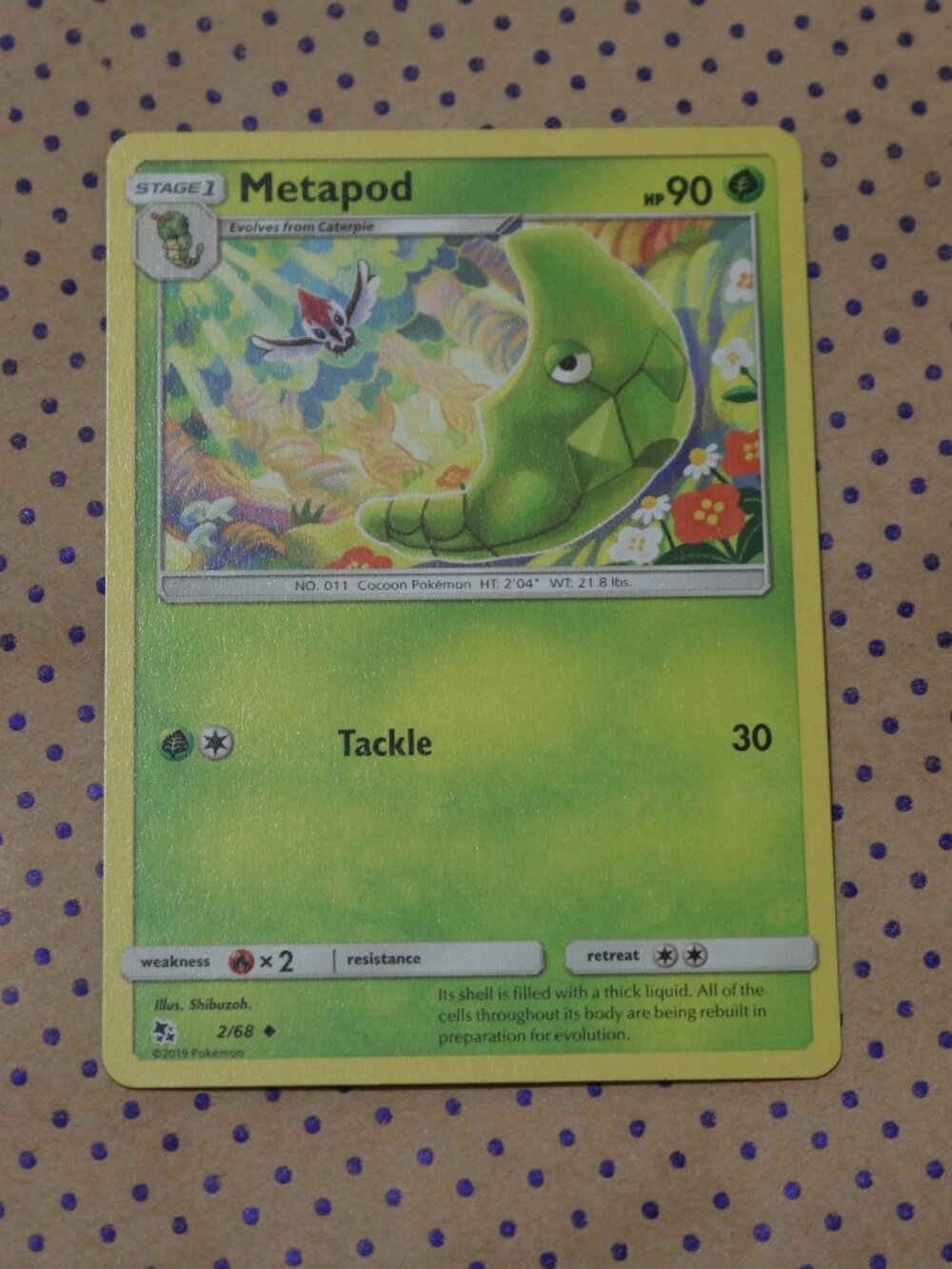 Metapod 2/68 Pokemon Card (2019)